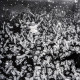 Liam Gallagher - C'mon You Know (Europe 27 May 2022)