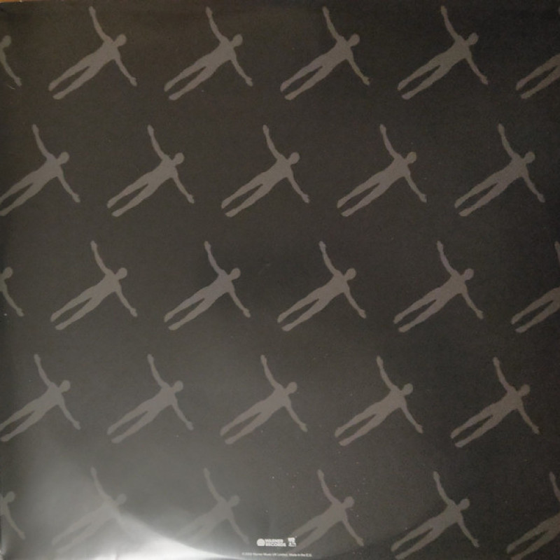 Вінілова платівка  Muse - Absolution (Vinyl, LP, Album, Reissue, Repress)