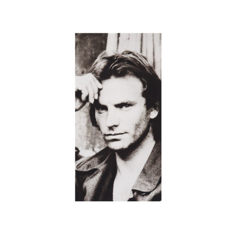 Вінілова платівка  Sting - ...Nothing Like The Sun (Vinyl, LP, Album, Reissue, Stereo)