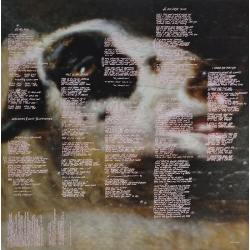 Red Hot Chili Peppers - By The Way (Europe 2020)