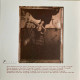 Вінілова платівка  Pixies - Surfer Rosa (Vinyl, LP, Album, Reissue)