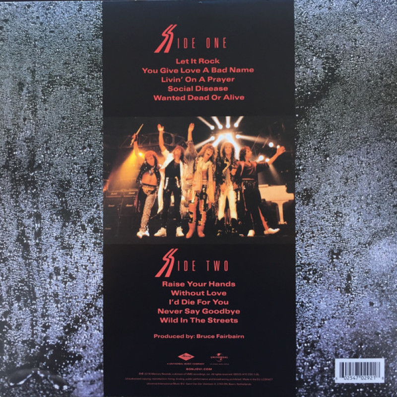 Вінілова платівка  Bon Jovi - Slippery When Wet (Vinyl, LP, Album, Reissue, Stereo)