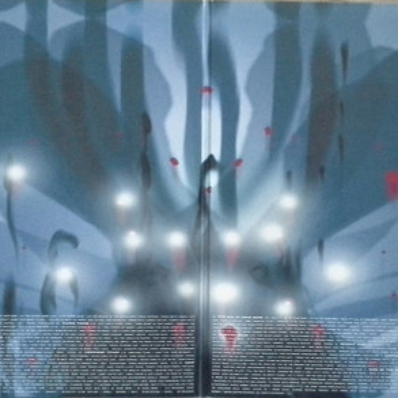 Вінілова платівка  Beck - Sea Change (Vinyl, LP, Album, Reissue, Stereo)