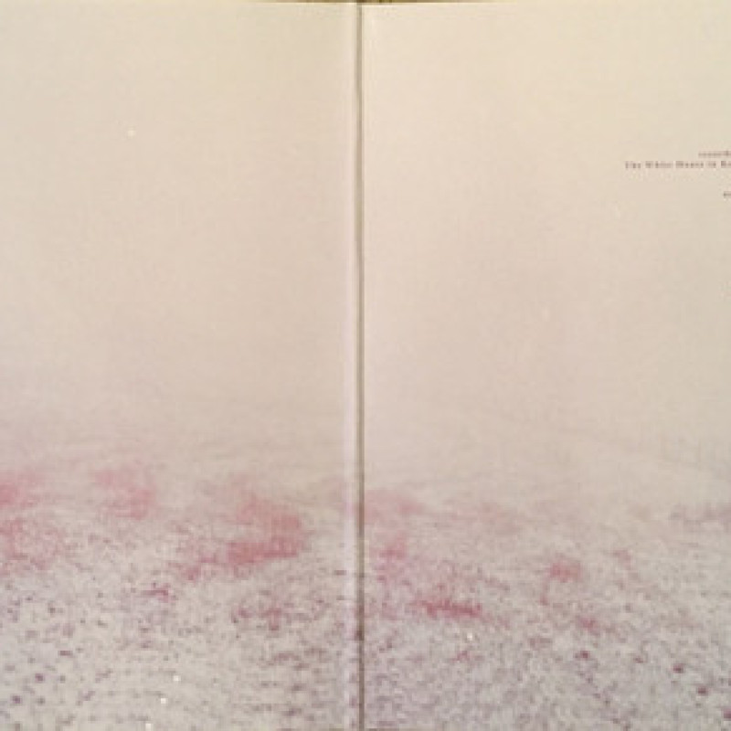 Вінілова платівка  Slowdive - Slowdive (Vinyl, LP, Album)