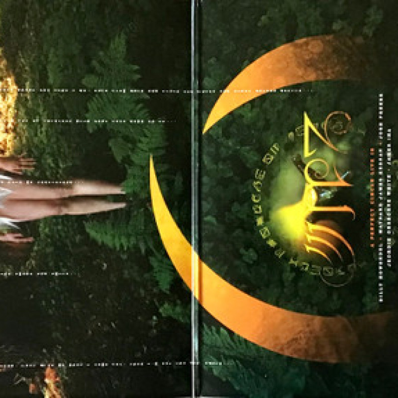 Вінілова платівка  A Perfect Circle - Thirteenth Step (Vinyl, LP, Album)