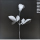 Depeche Mode - Violator (Europe 2023)