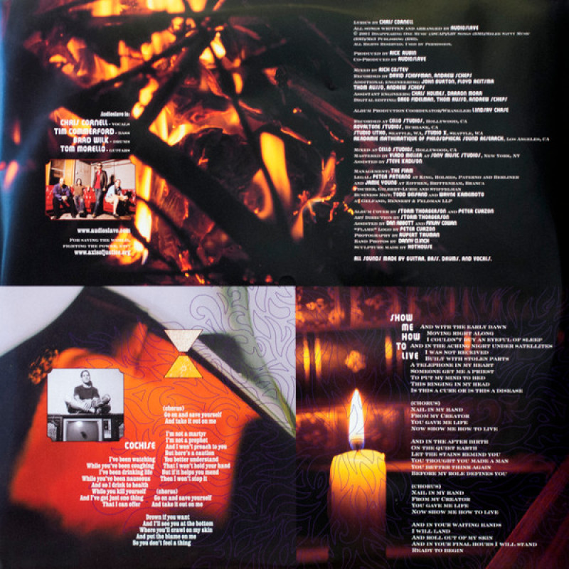 Вінілова платівка  Audioslave - Audioslave (Vinyl, LP, Album, Reissue)