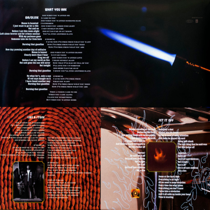 Вінілова платівка  Audioslave - Audioslave (Vinyl, LP, Album, Reissue)