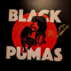 Вінілова платівка  Black Pumas - Black Pumas (Vinyl, LP, Album)