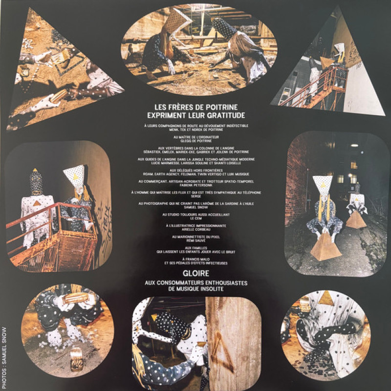 Вінілова платівка  Angine De Poitrine - Vol. II (Vinyl, LP, Album, Reissue, Stereo)