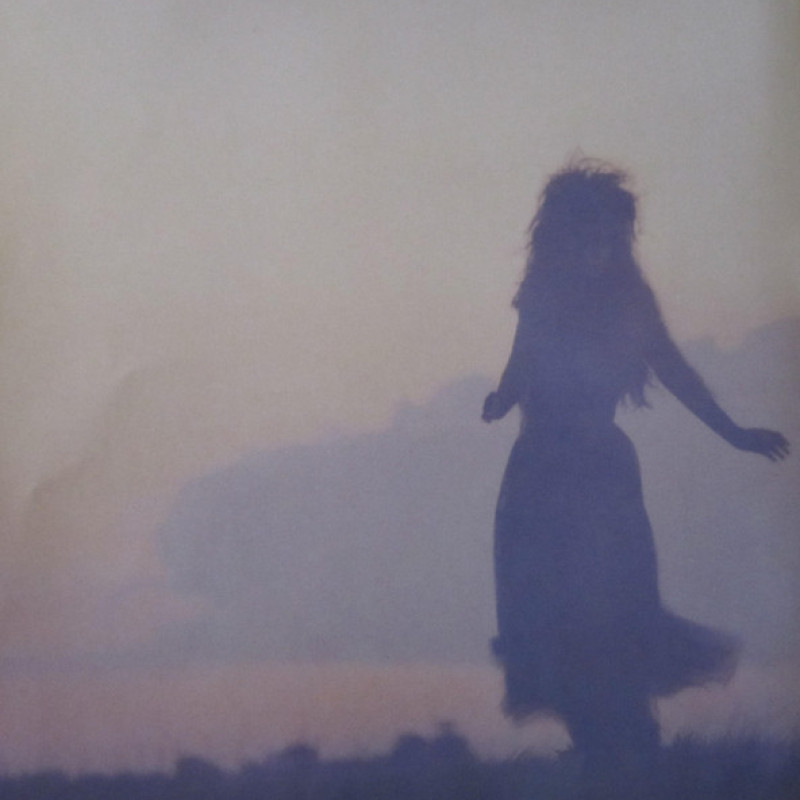 Вінілова платівка  The Sisters Of Mercy - Floodland (Vinyl, LP, Album, Reissue, Stereo)
