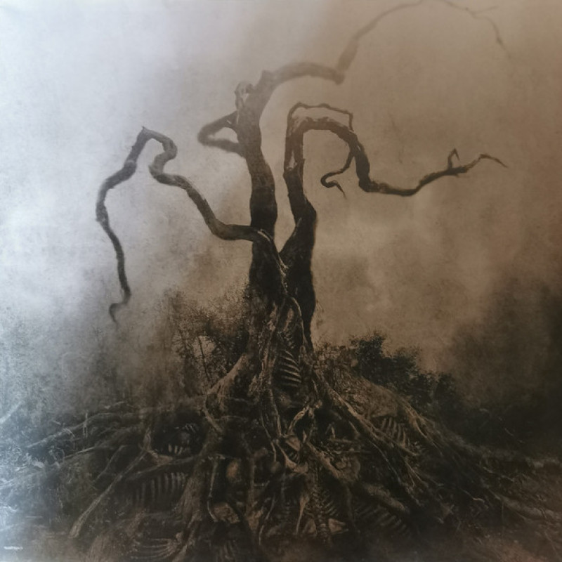 Вінілова платівка  Opeth - Blackwater Park (Vinyl, LP, Album, Reissue)
