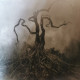 Вінілова платівка  Opeth - Blackwater Park (Vinyl, LP, Album, Reissue)