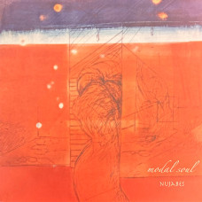 Вінілова платівка  Nujabes - Modal Soul (Vinyl, LP, Album, Reissue, Repress)
