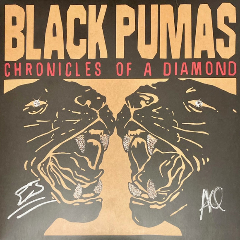 Вінілова платівка  Black Pumas - Chronicles Of A Diamond (Vinyl, LP, Album, Stereo)