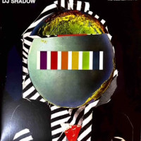 Вінілова платівка  DJ Shadow - The Mountain Will Fall (Vinyl, LP, Album, Reissue)