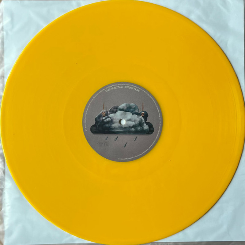 Вінілова платівка  Raye (3) - This Music May Contain Hope. (Vinyl, LP, Album, Stereo)