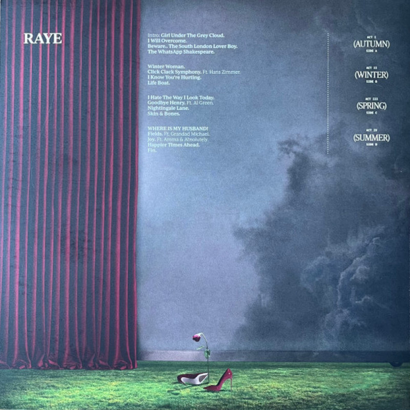 Вінілова платівка  Raye (3) - This Music May Contain Hope. (Vinyl, LP, Album, Stereo)