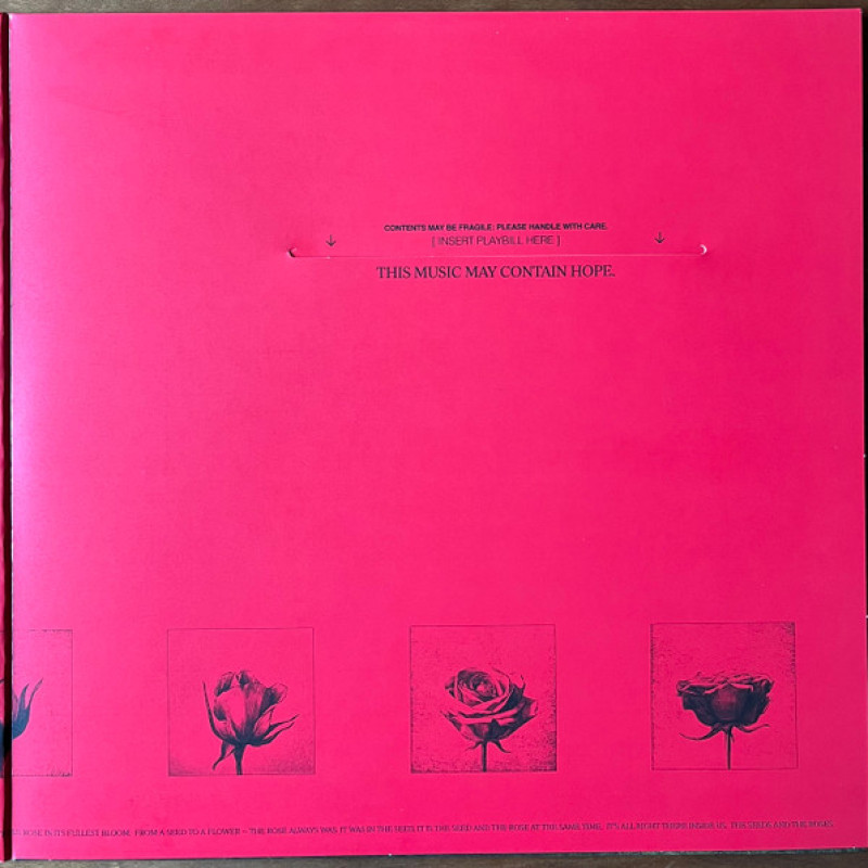 Вінілова платівка  Raye (3) - This Music May Contain Hope. (Vinyl, LP, Album, Stereo)