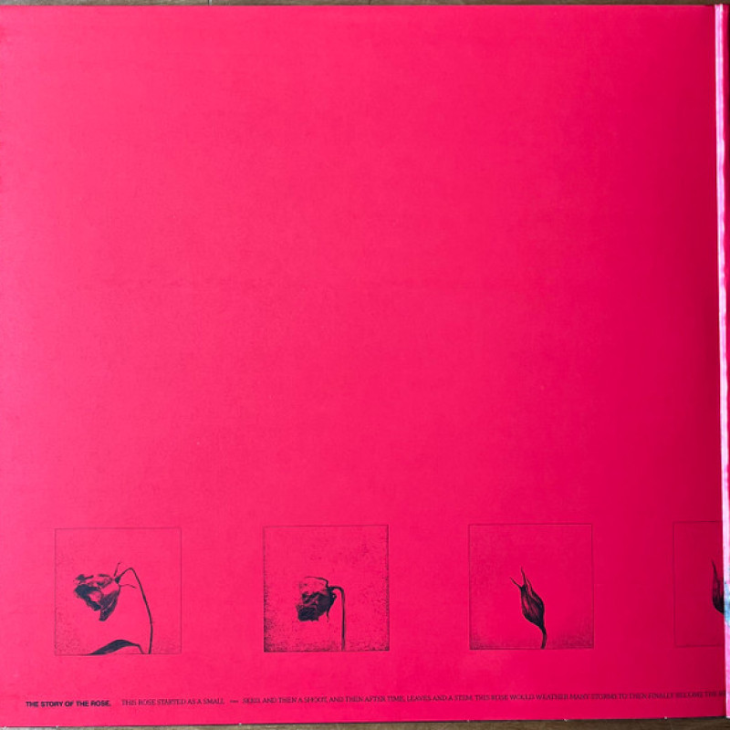 Вінілова платівка  Raye (3) - This Music May Contain Hope. (Vinyl, LP, Album, Stereo)