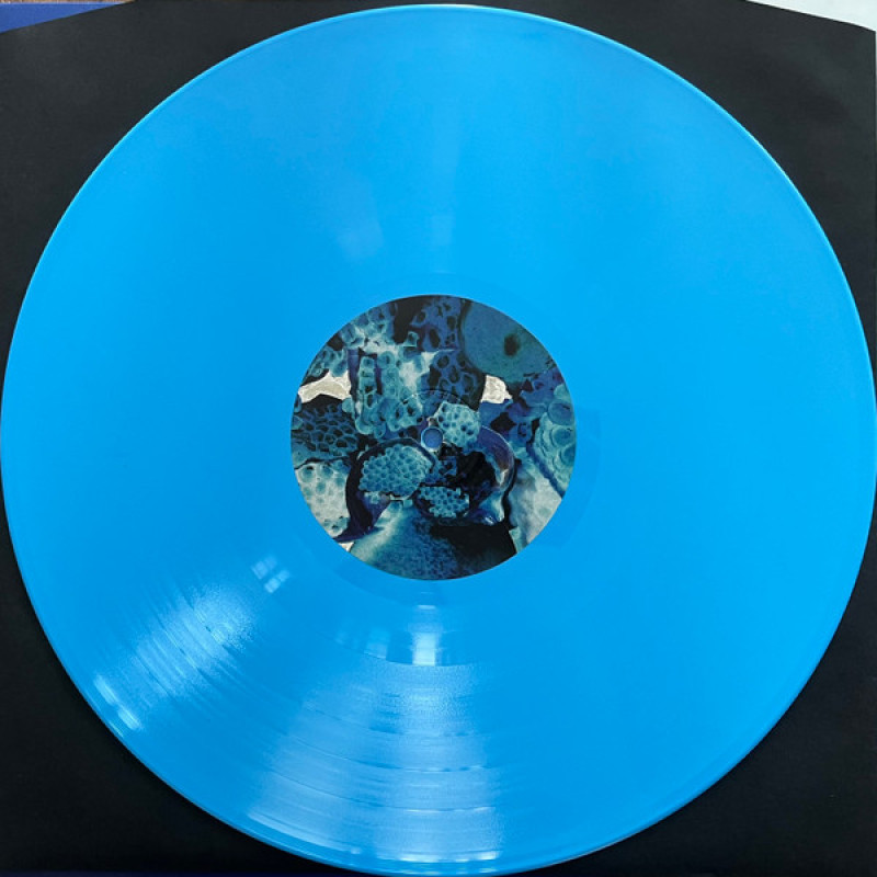 Вінілова платівка  Foals - Total Life Forever (Vinyl, LP, Album, Stereo)