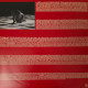 Вінілова платівка  Slayyyter - Wor$t Girl In America (Vinyl, LP, Album, Limited Edition)