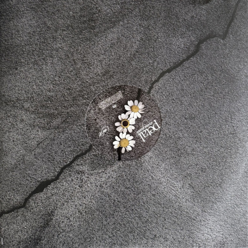 Вінілова платівка  Ariana Grande - Petal (Vinyl, LP, Album, Stereo)