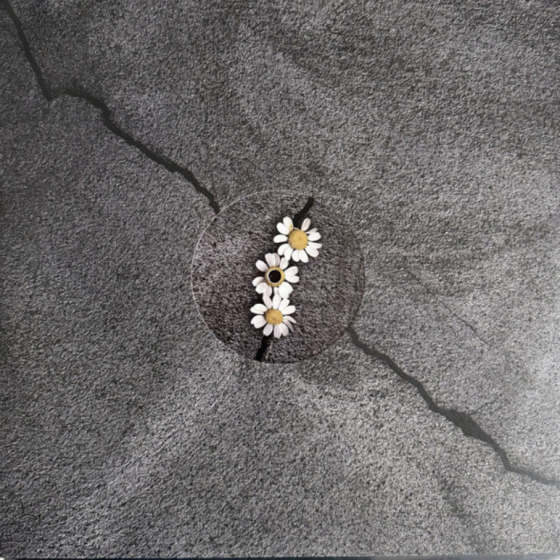 Вінілова платівка  Ariana Grande - Petal (Vinyl, LP, Album, Stereo)