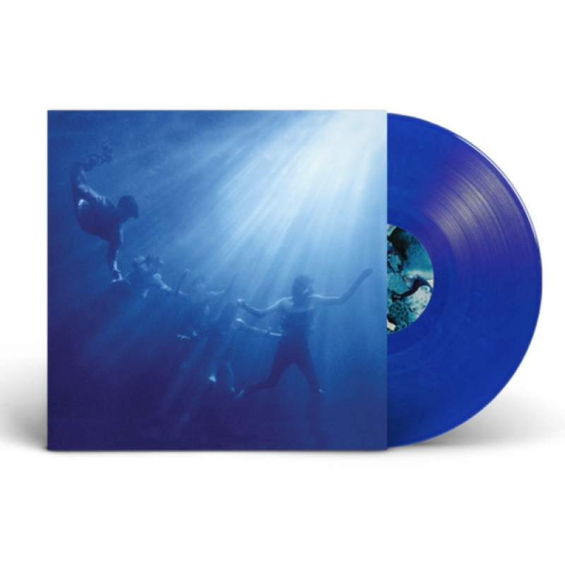 Вінілова платівка  Foals - Total Life Forever (Vinyl, LP, Album, Stereo)