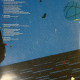Вінілова платівка  DJ Shadow - The Mountain Will Fall (Vinyl, LP, Album, Reissue)