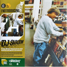 Вінілова платівка  DJ Shadow - Endtroducing..... (Vinyl, LP, Album, Reissue, Remastered, Repress)