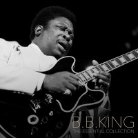 Вінілова платівка  B.B. King - The Essential Collection (Vinyl, LP, Compilation, Stereo)