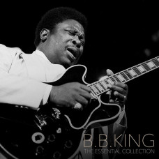 Вінілова платівка  B.B. King - The Essential Collection (Vinyl, LP, Compilation, Stereo)