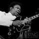 Вінілова платівка  B.B. King - The Essential Collection (Vinyl, LP, Compilation, Stereo)