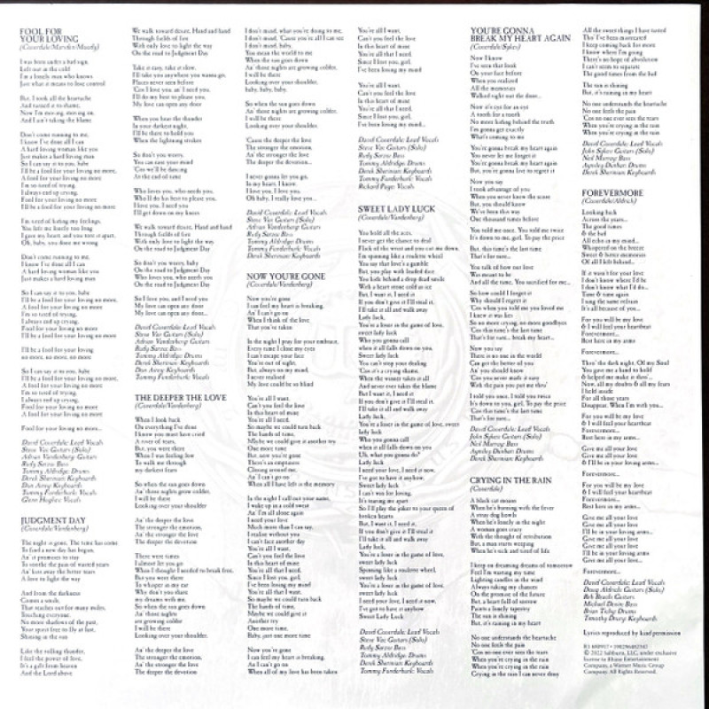 Вінілова платівка  Whitesnake - Greatest Hits Revisited - Remixed - Remastered - MMXXII (Vinyl, LP, Compilation, Mixed, Remastered, Stereo)