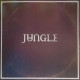 Вінілова платівка   Jungle - Sunshine (Vinyl, LP, Album)