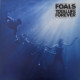 Вінілова платівка  Foals - Total Life Forever (Vinyl, LP, Album, Stereo)