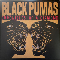 Вінілова платівка  Black Pumas - Chronicles Of A Diamond (Vinyl, LP, Album, Stereo)