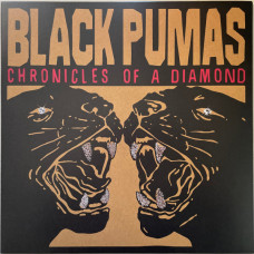 Вінілова платівка  Black Pumas - Chronicles Of A Diamond (Vinyl, LP, Album, Stereo)