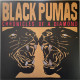 Вінілова платівка  Black Pumas - Chronicles Of A Diamond (Vinyl, LP, Album, Stereo)